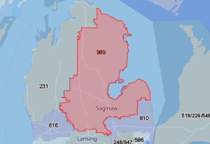 Area Code 989 Map
